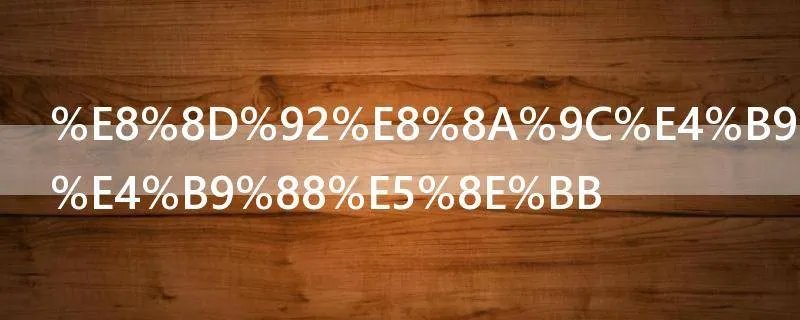 荒芜之地怎么去