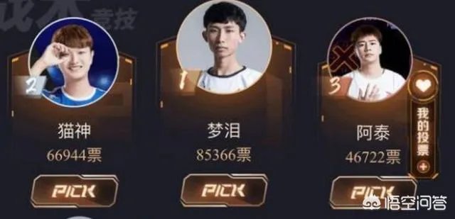 KPL吧热议：梦泪猫神阿泰力压uzi和厂长，游戏家盛典投票引争议！怎么评价？