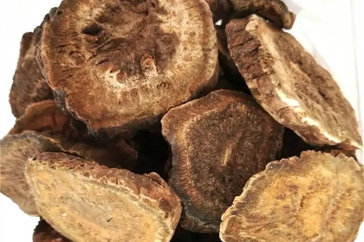 润肠通便的中草药植物图片