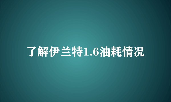 了解伊兰特1.6油耗情况