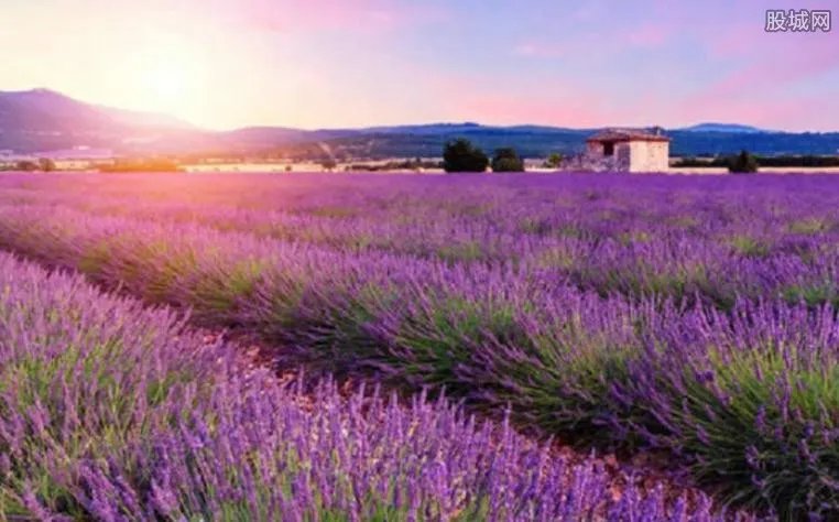 三月份去哪里旅游最好 这四个最佳旅游景点你去过了吗