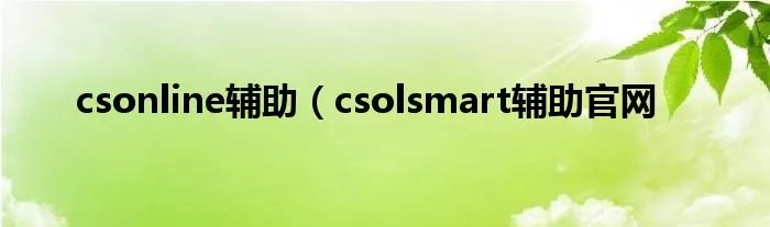 csonline辅助（csolsmart辅助官网