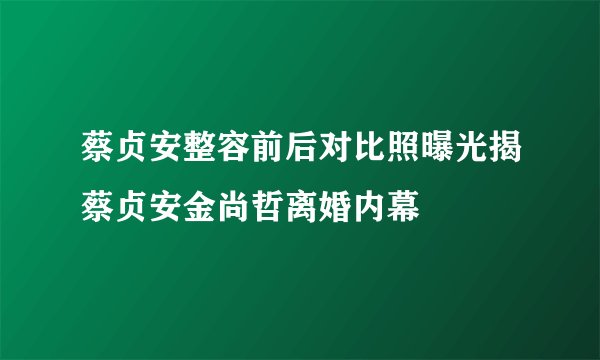 蔡贞安整容前后对比照曝光揭蔡贞安金尚哲离婚内幕