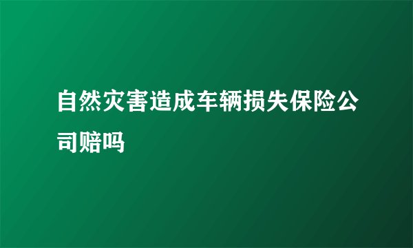 自然灾害造成车辆损失保险公司赔吗