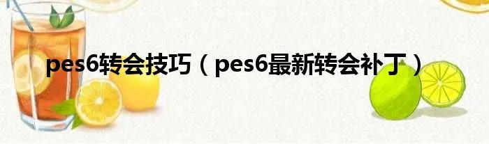 pes6转会技巧（pes6最新转会补丁）