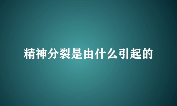 精神分裂是由什么引起的