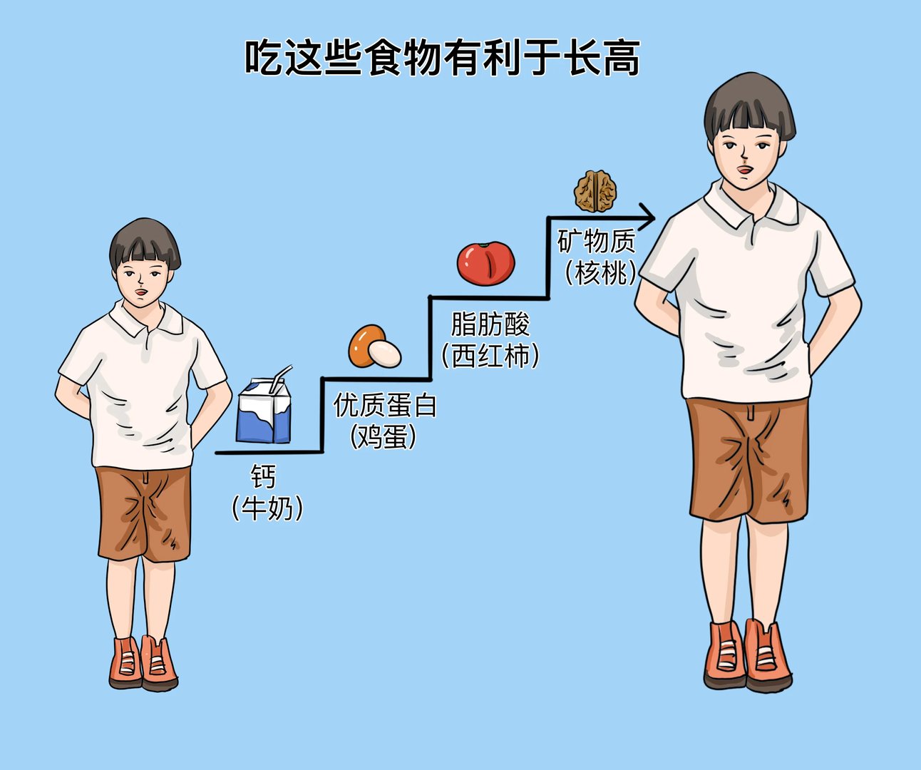 长高的食物有哪些