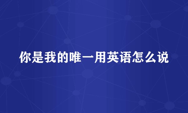 你是我的唯一用英语怎么说