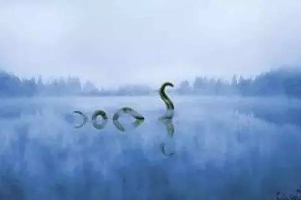 世界上十大怪物:第十名已被证实确实存在,你见过它吗?