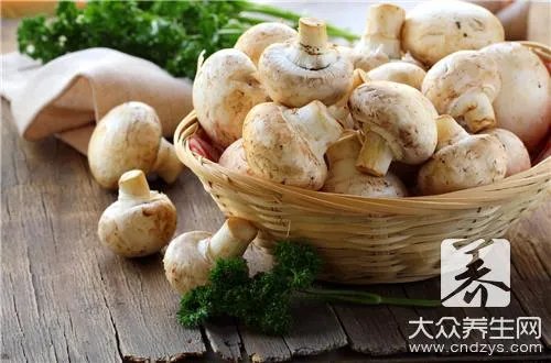 牛奶炖香菇做法是怎样的？