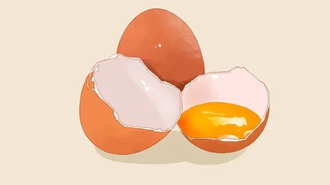 鸡蛋壳治胃病是真的吗