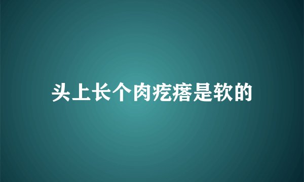 头上长个肉疙瘩是软的