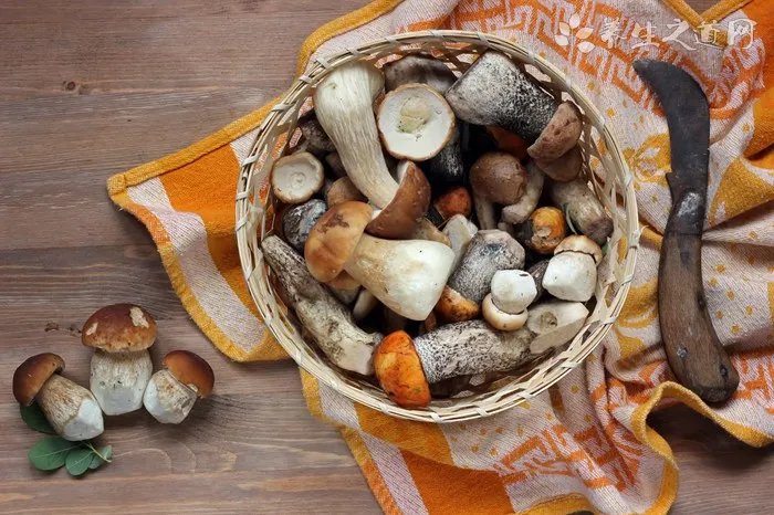 红茶菌的功效与作用及禁忌症有哪些 红茶菌的功效和禁忌