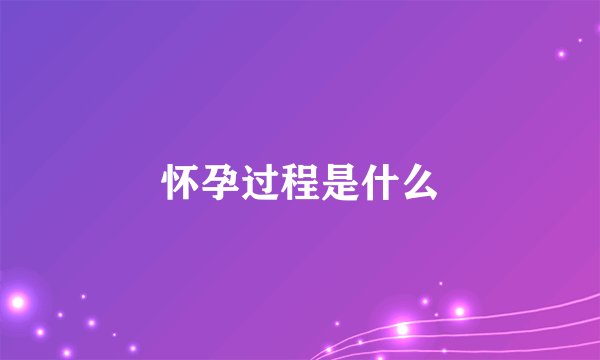 怀孕过程是什么