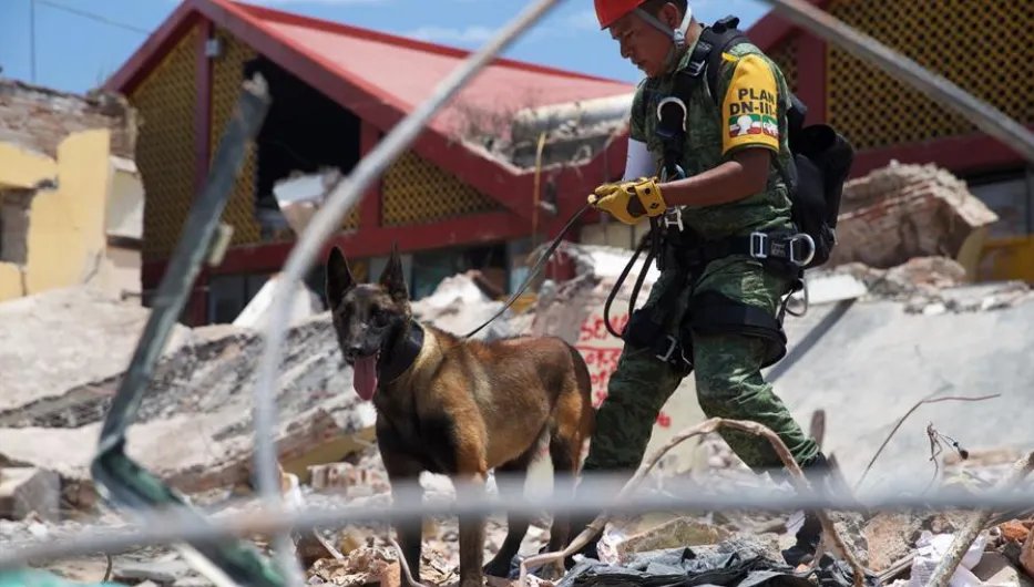 9月7日的墨西哥地震有最新消息了吗？