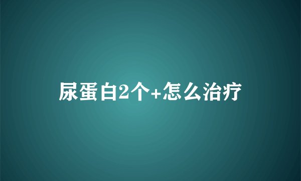 尿蛋白2个+怎么治疗