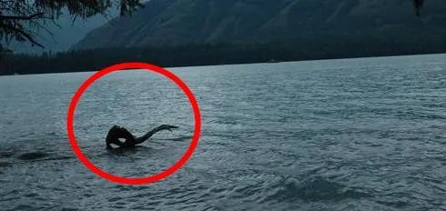 喀纳斯湖水怪图片：传说中的喀纳斯湖水怪真身竟是它