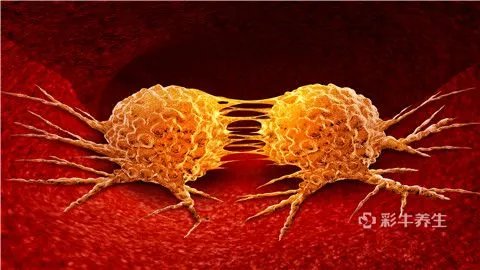 淋巴肿瘤能活多少年