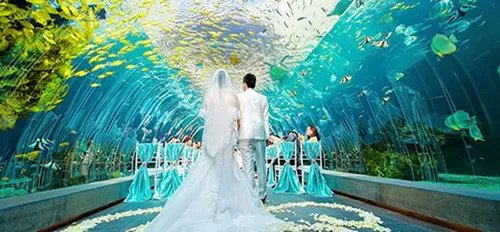 婚庆网站排名 盘点国内著名7家婚庆网站