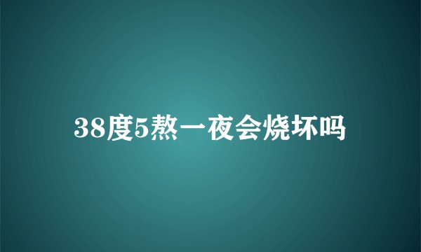 38度5熬一夜会烧坏吗