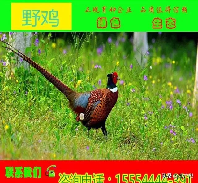 找老婆应该找个什么样的?