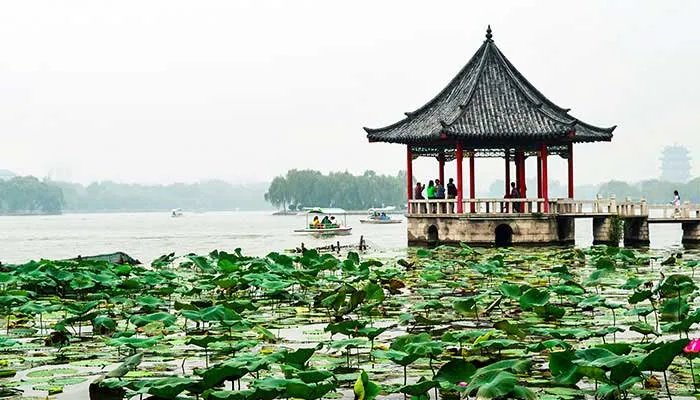 2021大明湖荷花什么时候开