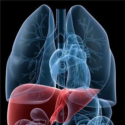 乙肝肝硬化会传染吗