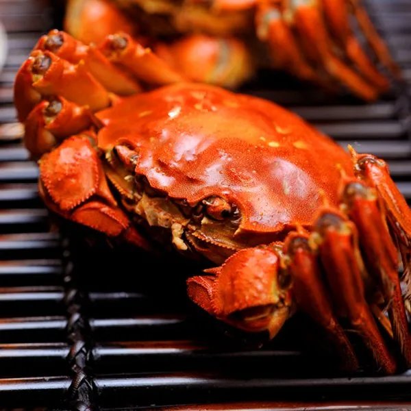 武汉阳澄湖大闸蟹专卖店那家比较靠谱些？