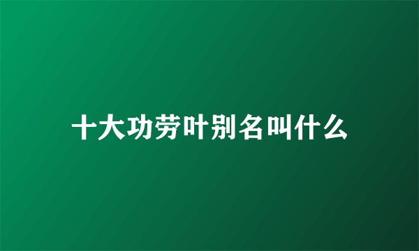 十大功劳叶别名叫什么