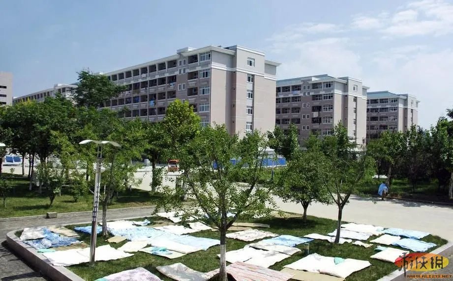 晒没?盘点“中国式晾晒”比“过马路”更壮观