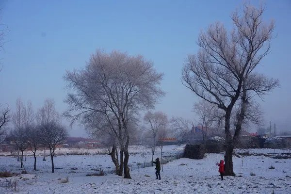 2019数九天时间表