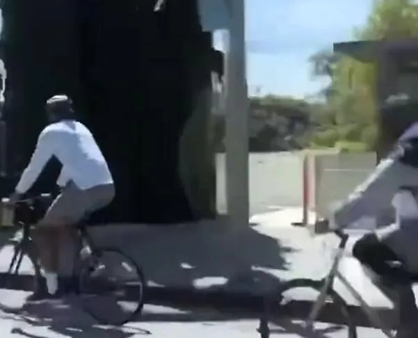 詹姆斯和浓眉骑车游园是怎么回事 詹姆斯和浓眉骑车游园原因是什么