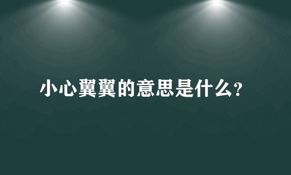 小心翼翼的意思是什么？