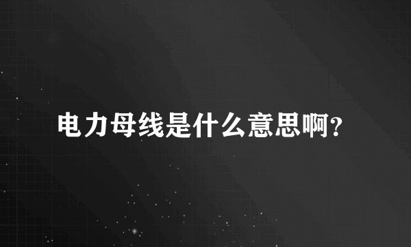 电力母线是什么意思啊?