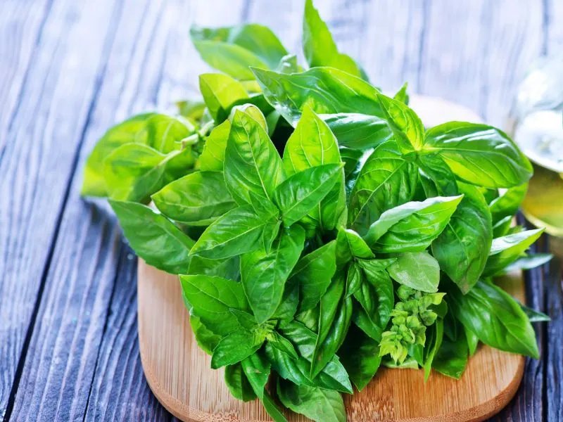 风油精成分及用途