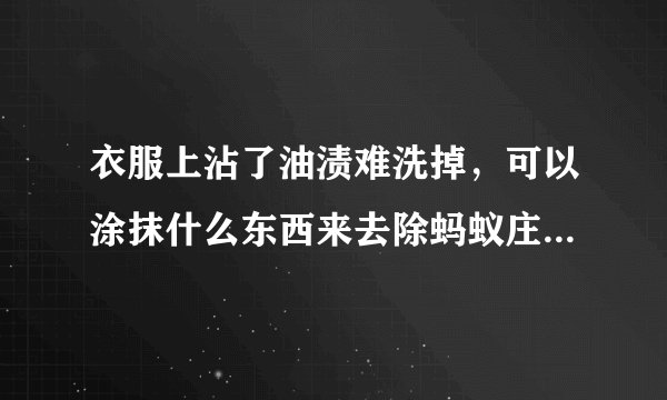 衣服上沾了油渍难洗掉,可以涂抹什么东西来去除蚂蚁庄园10月5日问题答案_飞外手游门户