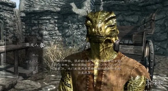 《上古卷轴5》种族选择推荐