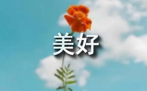 美好的回忆800字作文