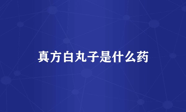 真方白丸子是什么药