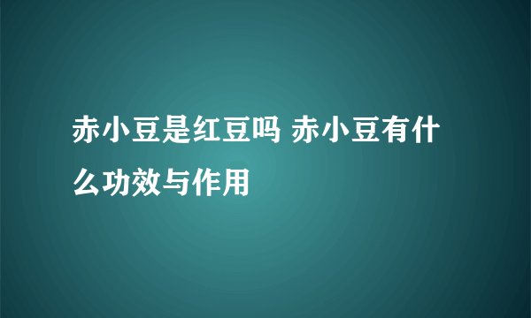 赤小豆是红豆吗 赤小豆有什么功效与作用