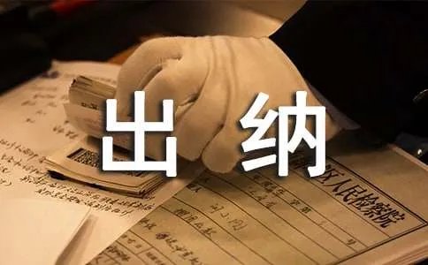 财务出纳工作总结