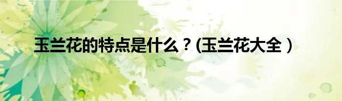 玉兰花的特点是什么？(玉兰花大全）