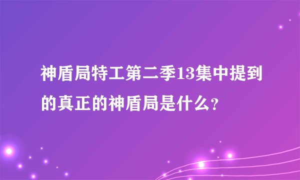 神盾局特工第二季13集中提到的真正的神盾局是什么？