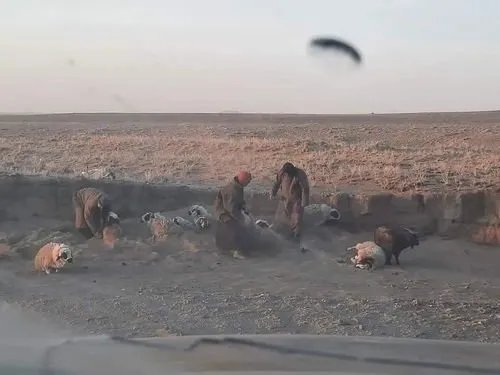 14省区市将出现扬沙或浮尘天气，导致这种天气的根本原因是什么？