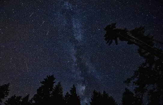 流星雨2020年8月什么时候出现 今年8月流星雨的具体时间表