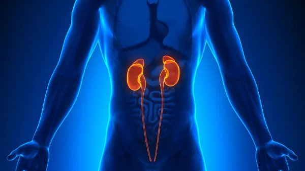 尿毒症应该怎么预防