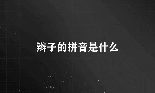 辫子的拼音是什么
