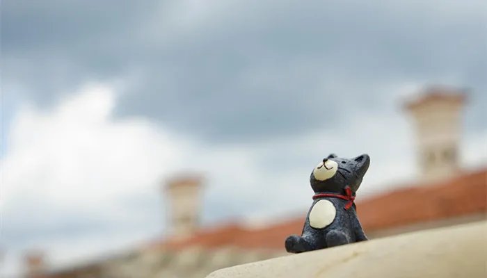 开盲盒是什么意思