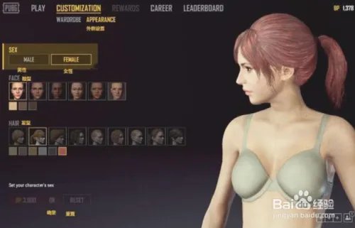 绝地求生正式版界面翻译