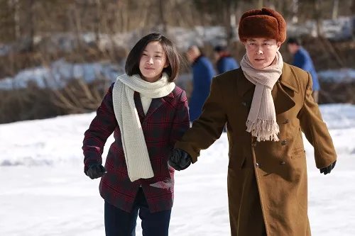 爱在乡村岁月有多少集